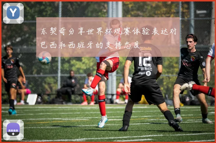 东契奇分享世界杯观赛体验表达对巴西和西班牙的支持态度