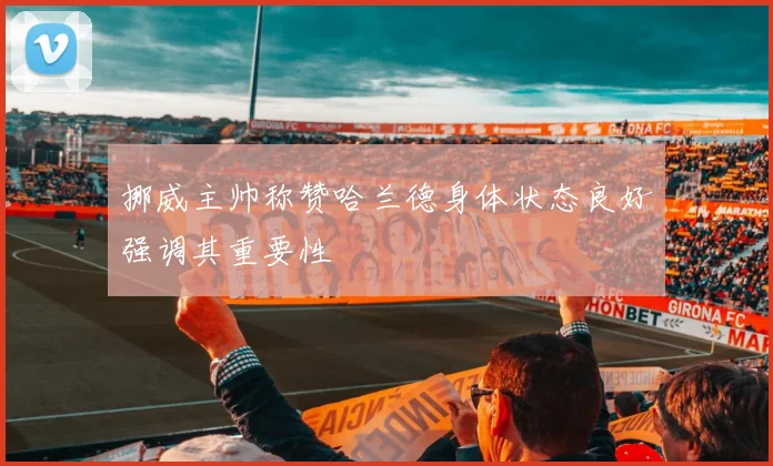 挪威主帅称赞哈兰德身体状态良好强调其重要性